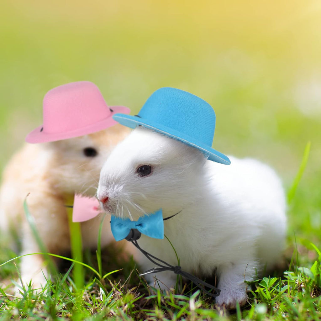 Xuniea 4 Sets 8 Pcs Guinea Pig Bow Ties Hats Costume for Hamster Ferret