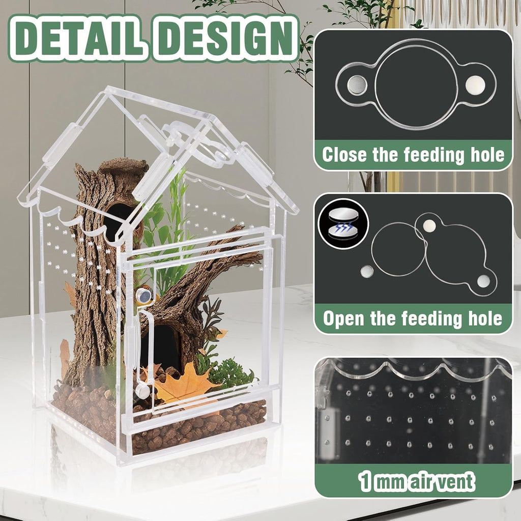 Acrylic Terrarium Kit for Jumping Spiders & Tarantulas - 3.15"x3.15"x5.6" Spider Enclosure with Magnetic Feeding Door & Secure Latch - Ideal Reptile Cage, Praying Mantis Habitat, Bug Terrarium