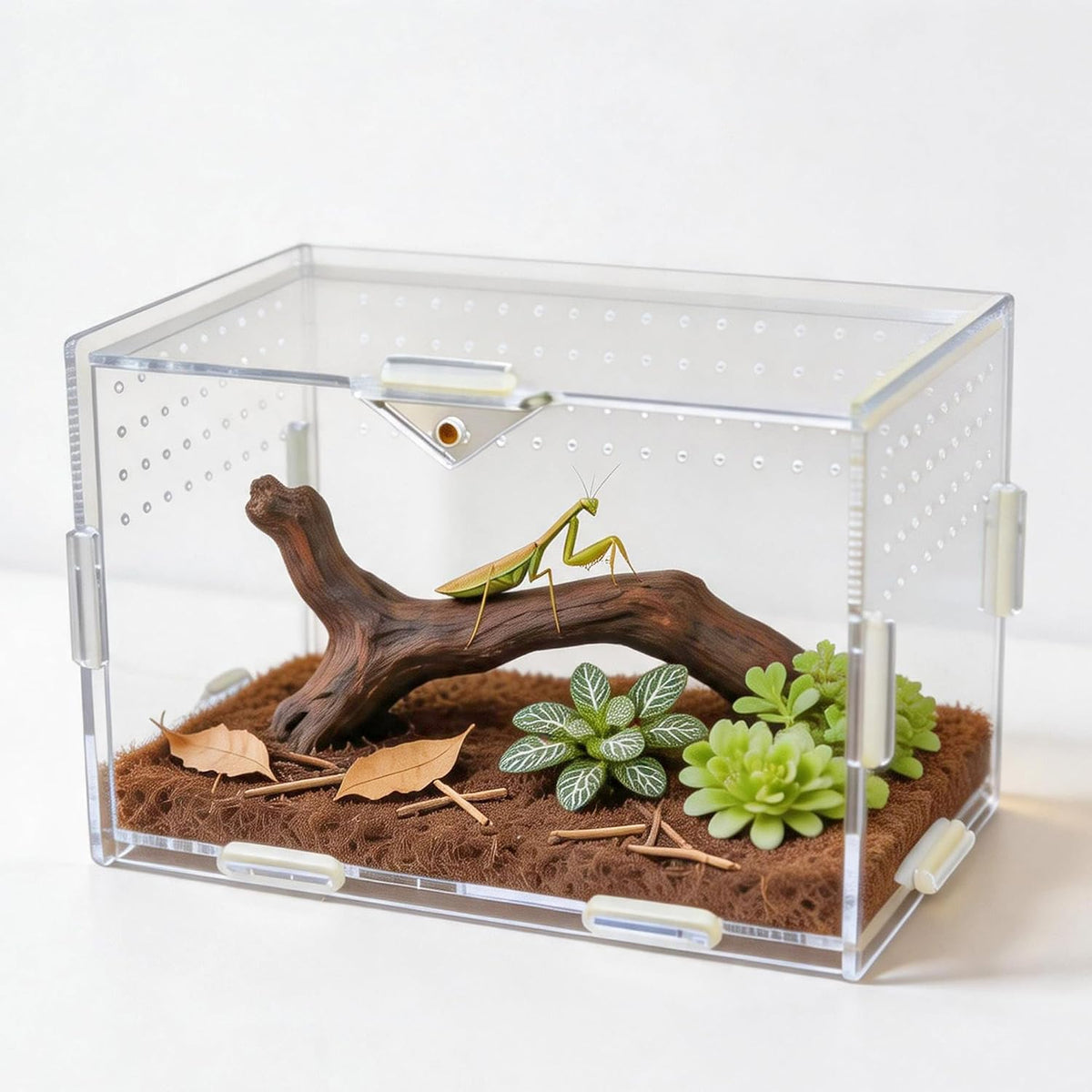 Portable Acrylic Jumping Spider Terrarium 5.9" Cube for Spider, Mantis
