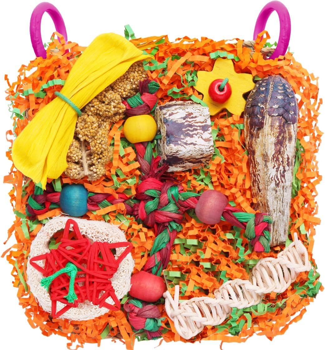 Bird Toys for Small & Medium Parrots - Natural Foraging & Shredding Cage Hanging Toys with Seagrass Mat, Starfruit, Loofah Slices for Budgies, Cockatiels, Lovebirds, Conures (2 PCS)