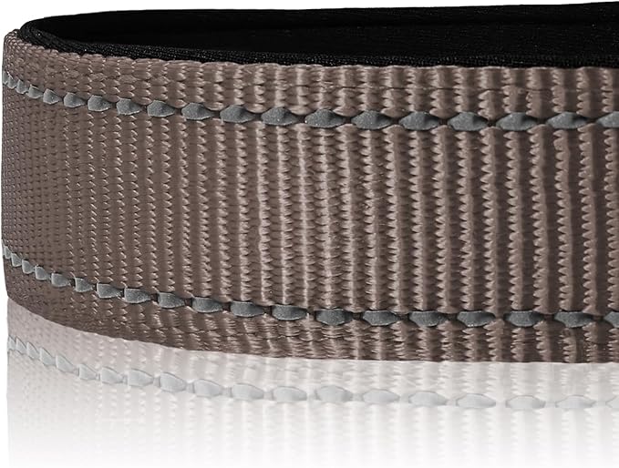 Joytale Reflective Dog Collar, Soft Neoprene Padded, Metal D-Ring, Nylon Pet - Image 4