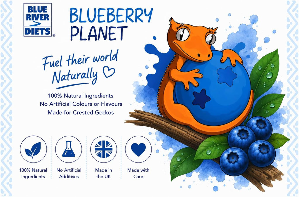 Blue River Diets Complete Crested Gecko Food for Crested Geckos | All-Natural Gecko Food Made in the UK | 2.10oz | 60g Blueberry Planet | 69% Real Fruit