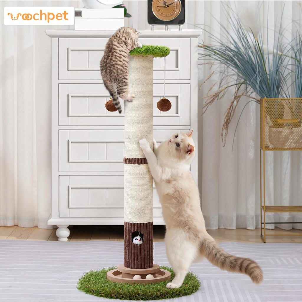 34" Tall Cat Scratching Posts,Heavy Duty and Thicker Cat Scratcher