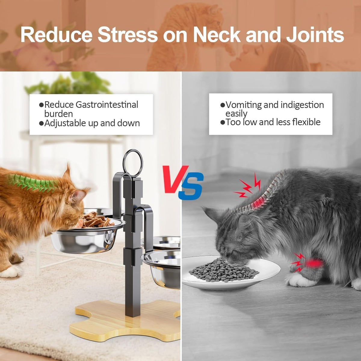 Elevated Cat Bowls 3 Adjustable Height 4 Stainless Steel Cats&Dogs