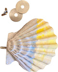 Polly's Comfy Clam Parrot Cage Flat Bird Perch by Polly%27s