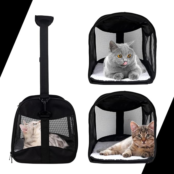 Cat Carrying Case - Image 3