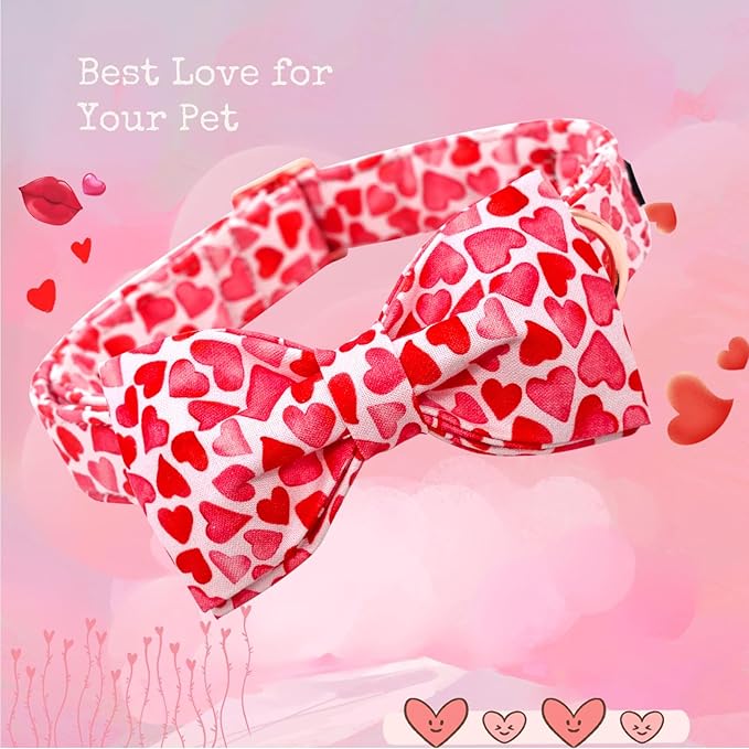 Lionheart Glory Dog Bow Collar - Image 3