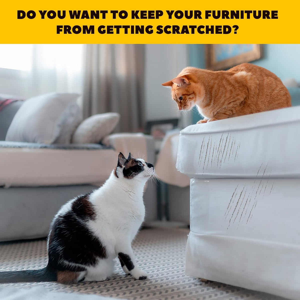 Cat Anti Scratch Furniture Protector - Couch Scratch Protector from Cats - Furniture Protection from Cat Scratching (10XL)