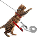PUPTECK Adjustable Cat Harness and Leash Set Escape Proof Kitten Strap Collar by PUPTECK