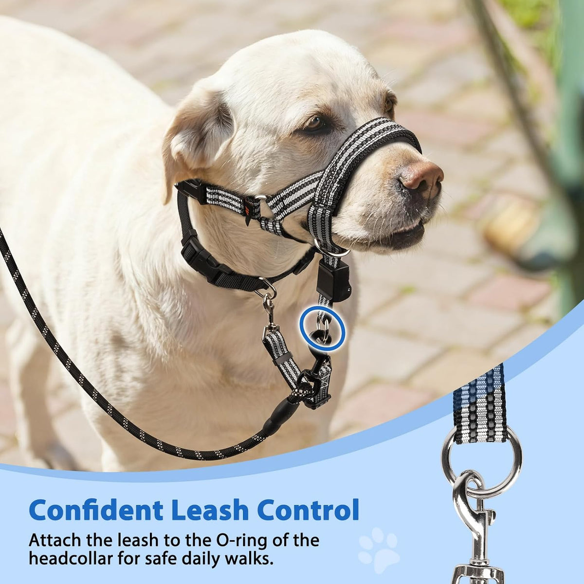 BARKLESS No Pull Dog Head Collar for Gentle Training Walking, Head Halter