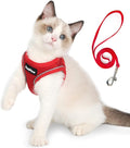 PetiFine Extra Small Step in Dog Harness and Leash Set, Cat Harness and Leash by PetiFine