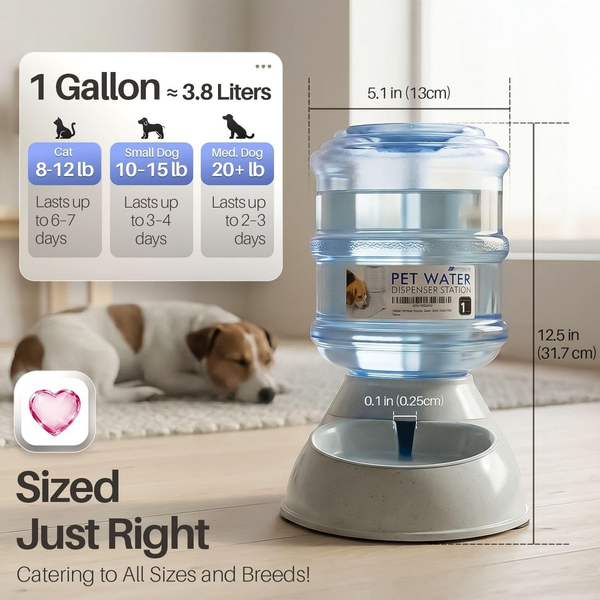 Flexzion Automatic Pet Feeder & Waterer Set of 2 Pack, Self Feeding Replenish Dog Cat Bowls, Gravity Food & Water Storage Container Fountain Jug Pet Supplies Plastic Skid Proof Rubber Feet (1 Gallon)