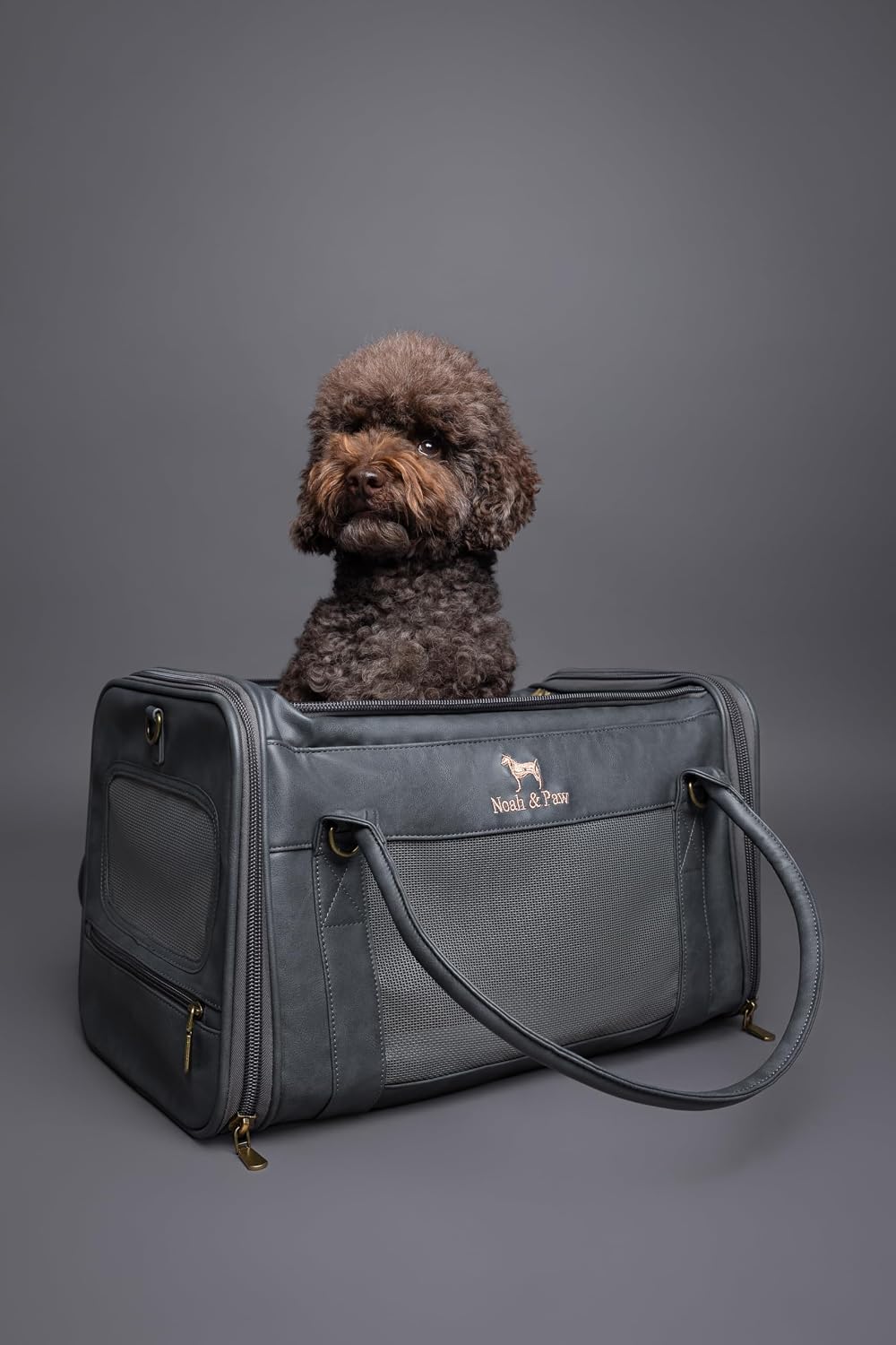 Noah & Paw Cat Carrier Soft Dog Carrier for Small Dogs TSA Airline Approved
