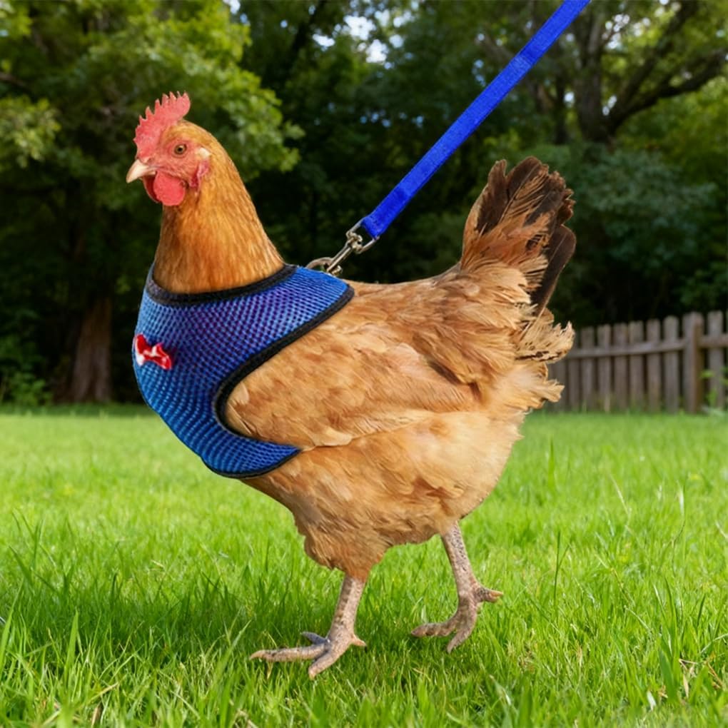 Chicken Leash and Harness Set Adjustment mesh Duck Harness Vest，Blue M