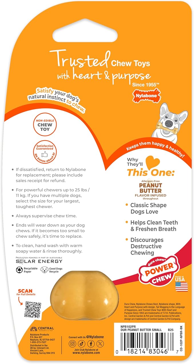Nylabone Original Bone Power Chew Toy - Image 10