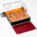 Terra Core M Ant Nest with Starter Kit 9 x 8 x 4.33 in