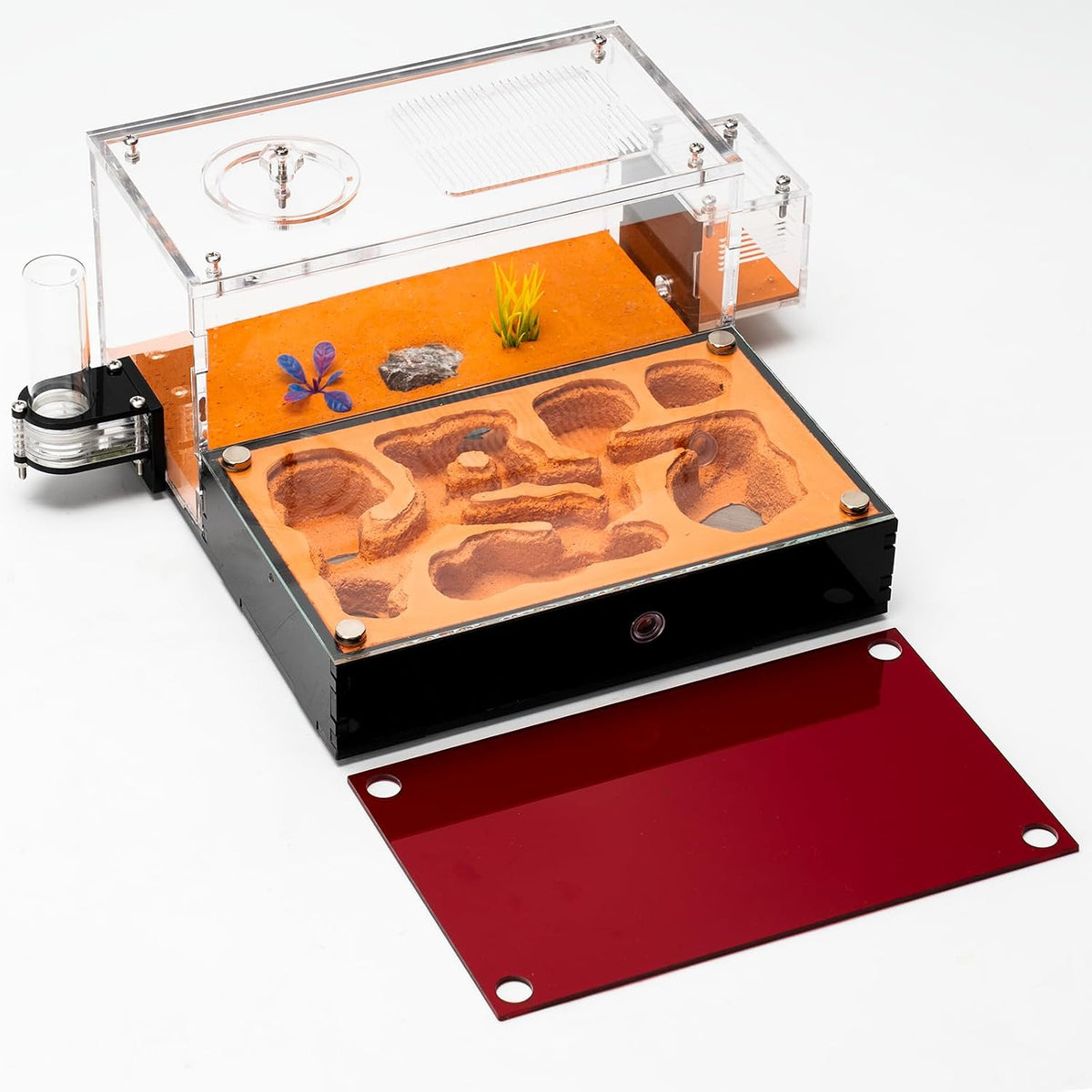 Terra Core M Ant Nest with Starter Kit 9 x 8 x 4.33 in