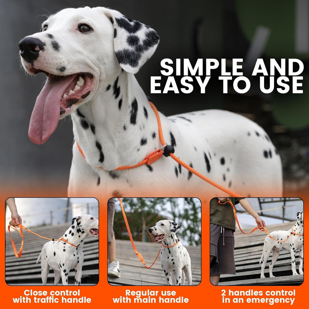 Slip Lead Dog Leash with 2 Spring-Loaded Stoppers (Pink 5.0FT)