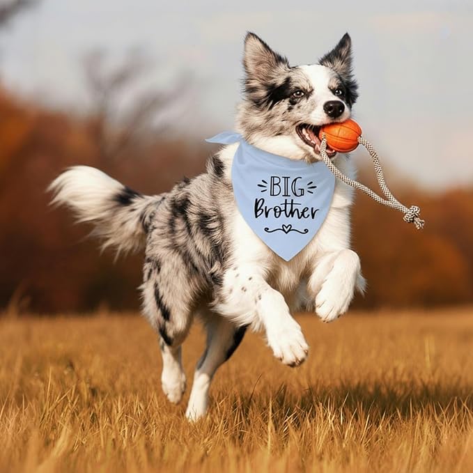 Big Brother Dog Bandanas, Pet Dog Triangle Scarf - Image 6