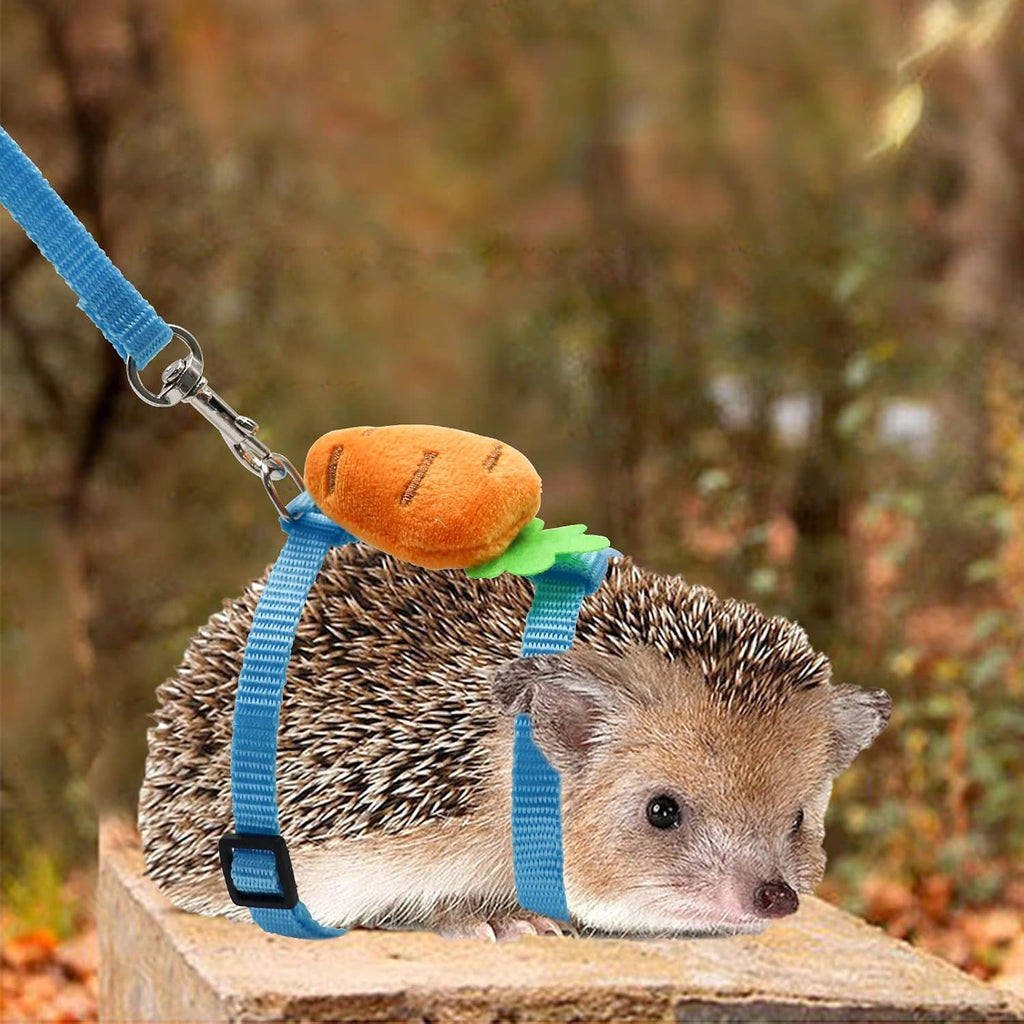 Adjustable Hedgehog Training Harness with Leash, Nylon Rope with Cute Radish, Outdoor Play Toy