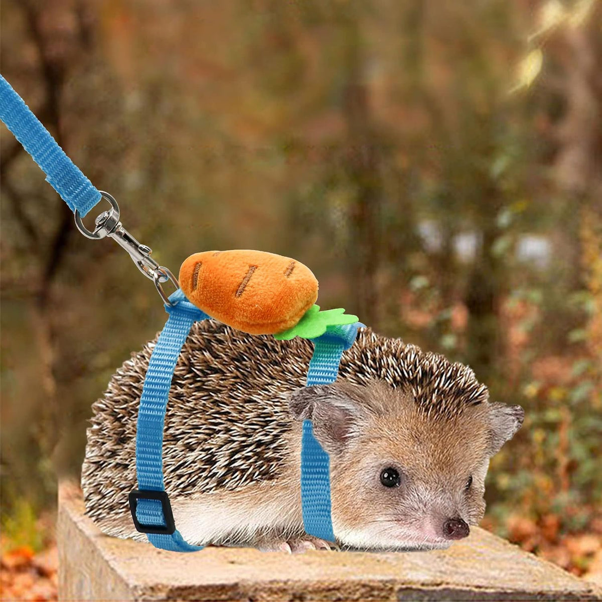 Adjustable Hedgehog Training Harness with Leash, Nylon Rope with Cute Radish, Outdoor Play Toy
