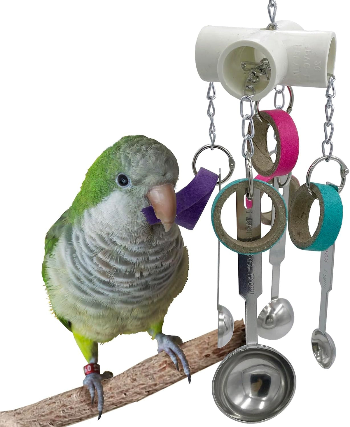 Durable Bird Parrots Scoops and Bagel Toys, Pullable Stainless Steel Spoon and Cardboard Ring Toys for Small and Medium Bird Parakeets, Cockatiels, Conures, Budgie, Lovebirds, Finches