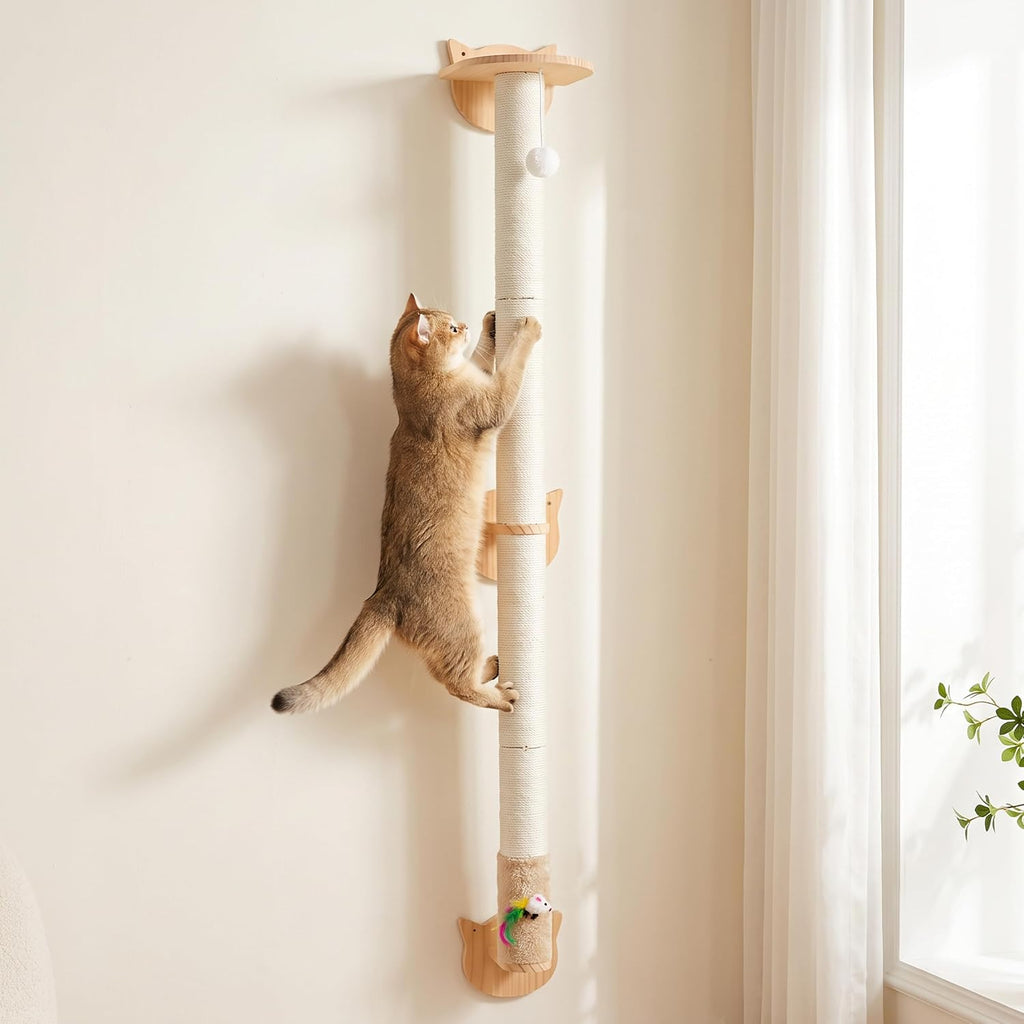Cat Wall Climbing Post, 60" Tall Cat Climbing Wall Systems for Large Cats