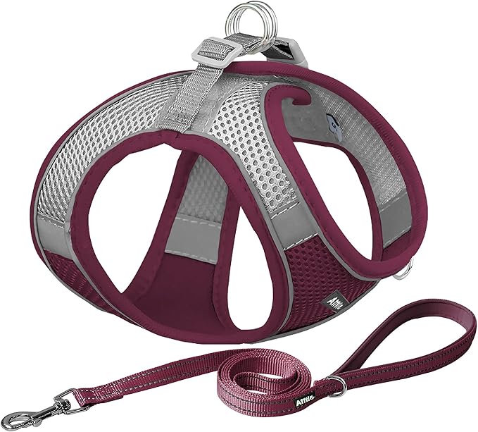 AIITLE Step in Dog Harness and Leash Set by AIITLE-FORPETSBETTERLIFE