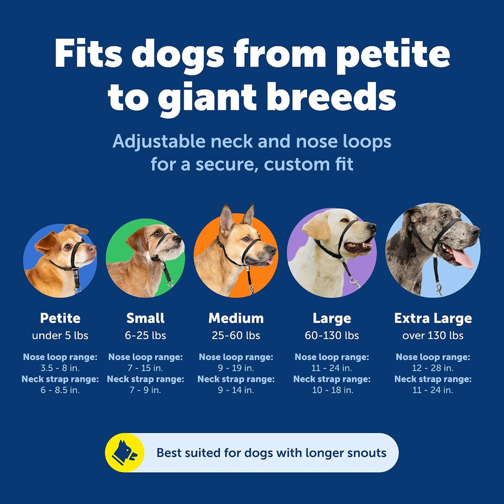PetSafe Gentle Leader No Pull Dog Headcollar, Royal Blue, Small