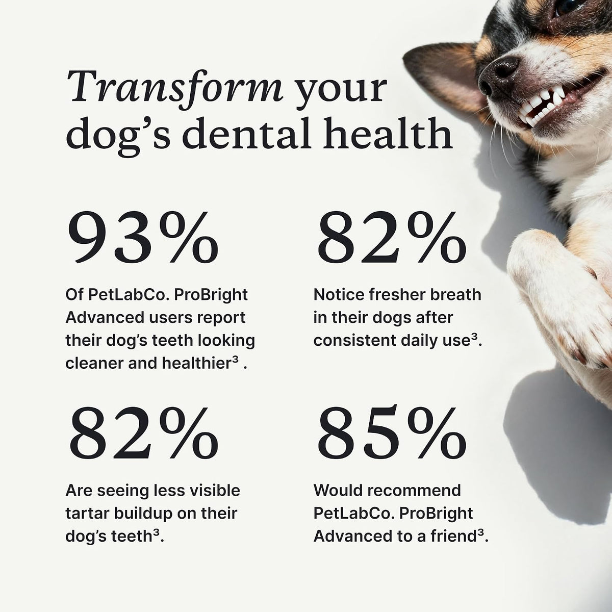 PetLab Co. ProBright Advanced Dental Powder, Small Dogs