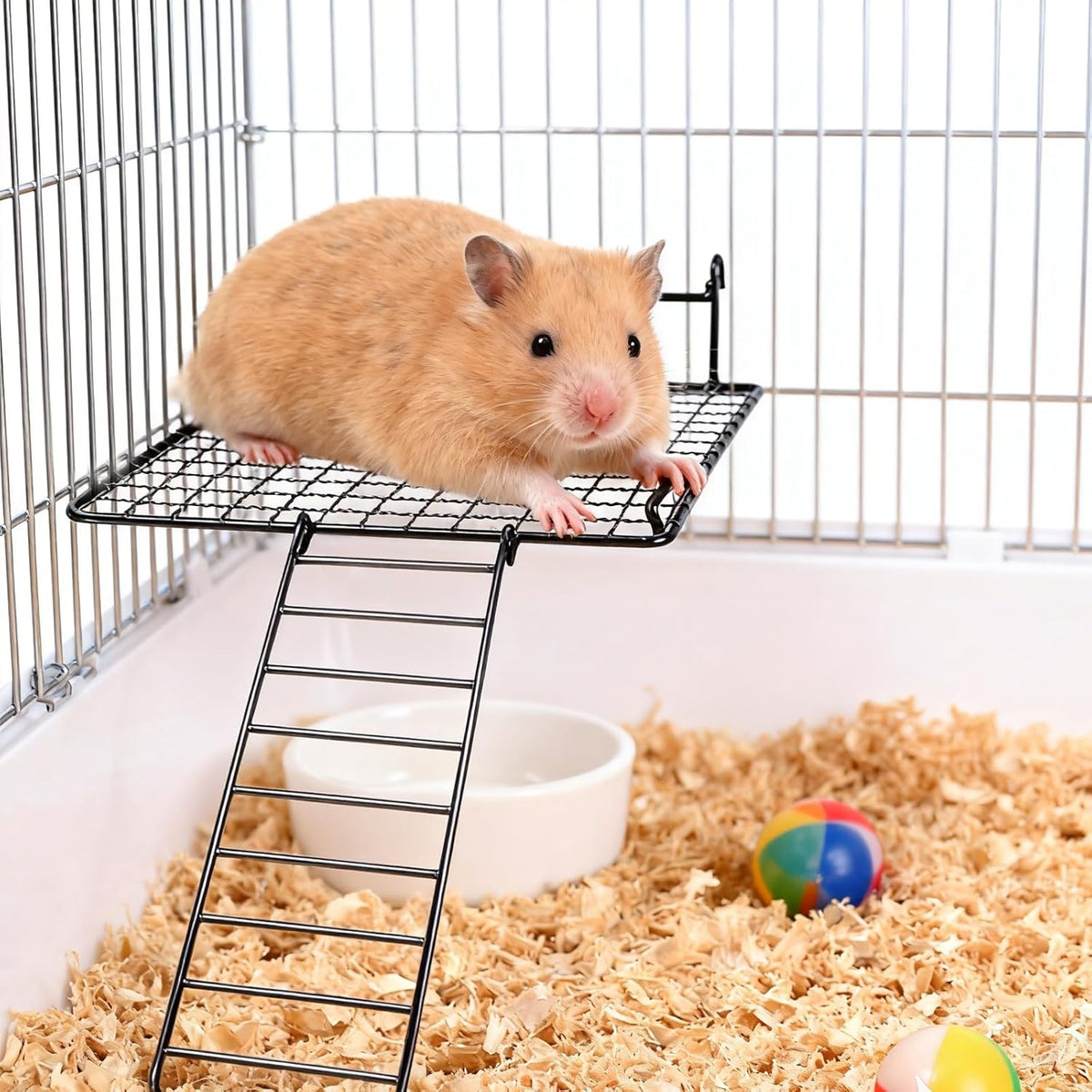 4 Pcs Sugar Glider Supplies Cage Accessories, Hamster Stainless Steel Platform with Climbing Ladder, Rat Climbing Toys for Cage for Squirrel Hamsters Guinea Pig Small Animal