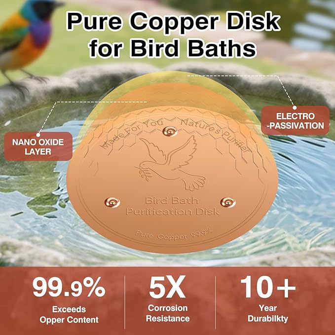 Bird Bath Copper Disc- Reinforced 99.99% Pure Copper Bird Bath Purification - Image 4