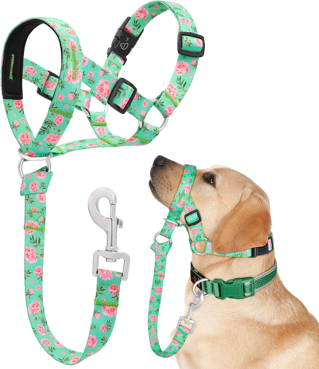 Dog Head Collar, Printed No-Pull Headcollar, Adjustable Dog Head Halter Gentle Lead with Safety Link, 3 Colors Muzzle Leash for Small Medium Large X-Large Dogs Easy Walks(XLarge, Peony)