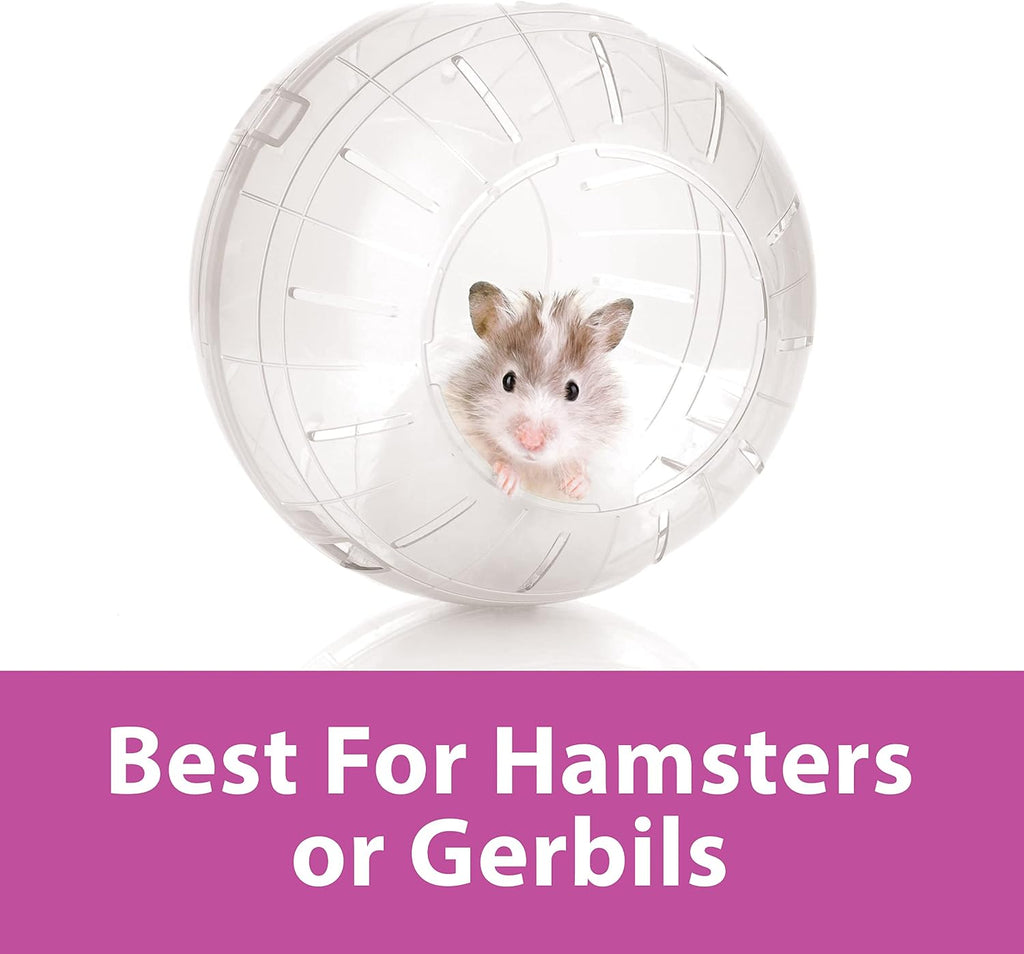 Kaytee 7" Clear Run-About Exercise Ball for Hamster & Gerbil Pets