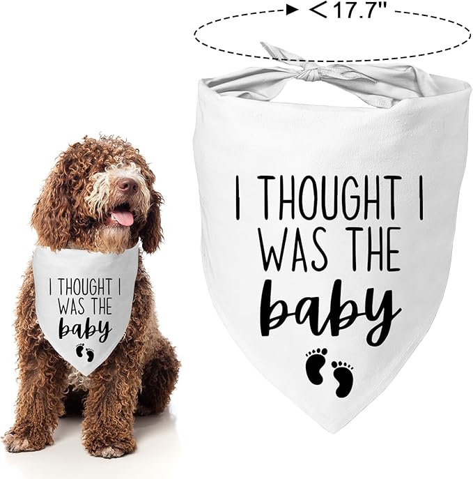 Dog Pregnancy Announcement Bandana - Image 4