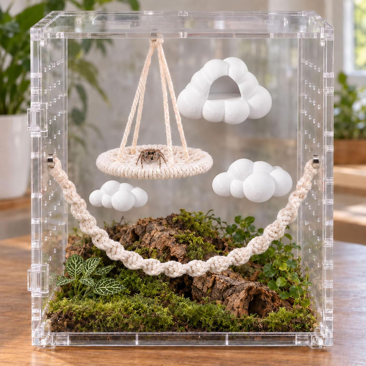5 Pcs Cloud Platforms Jumping Spider Accessories Kit, Natural Jumping Spider Rope Bridge