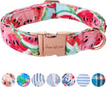 Unique Style Paws Watermelon Collar by Uniquestylepaws