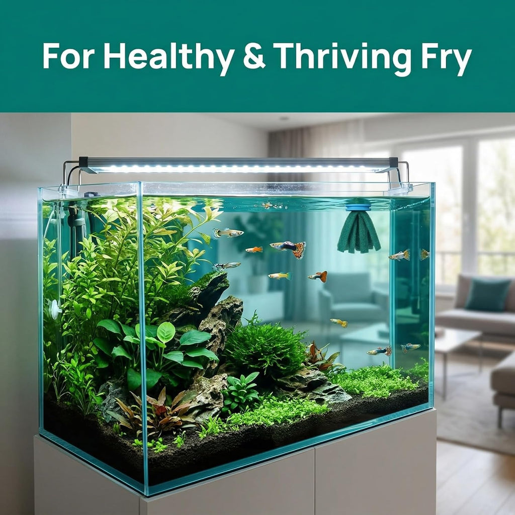 Homoyoyo10Pcs Fish Egg Collector Spawning Mop, Replacement Breeder Mop Floating Aquarium Breeding Tool for Betta Guppy Killifish Egg Laying Species Fish Tank Aquarium Fry Hiding Decorations Green