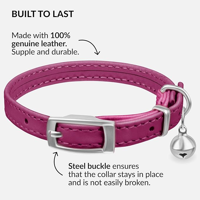 CollarDirect Leather Cat Collar - Image 2