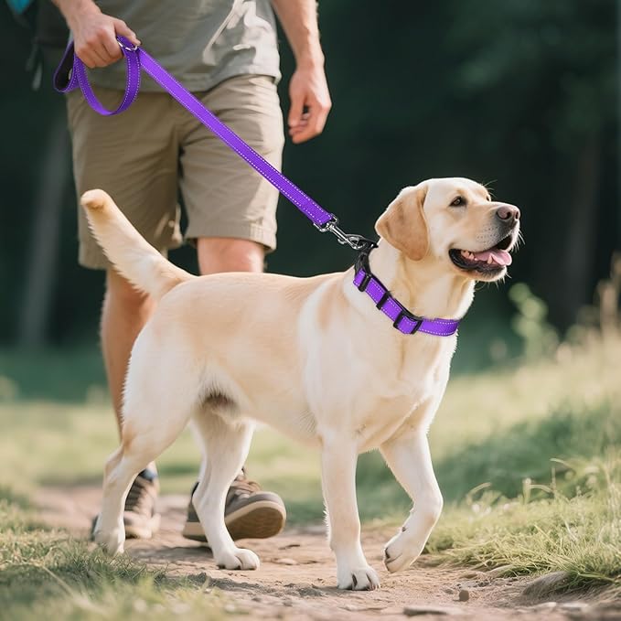 Joytale Reflective Dog Collar, Soft Neoprene Padded Breathable Nylon Pet Collar - Image 6