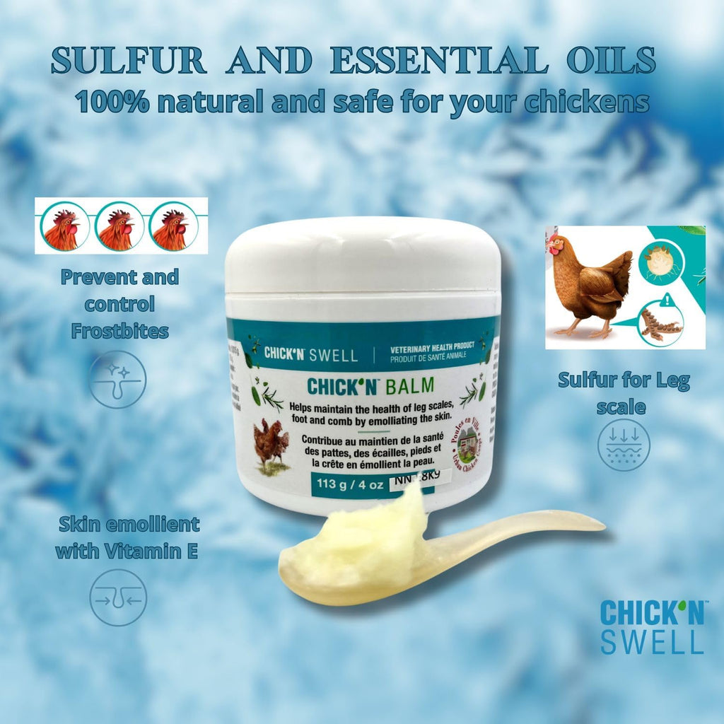Premium Poultry Balm for Optimal Care and Healing-Chick'n Balm from Chick'n Swell - Legs- Wounds and Combs - with Healing Essential Oils and Sulfur, 4 Oz (113g).