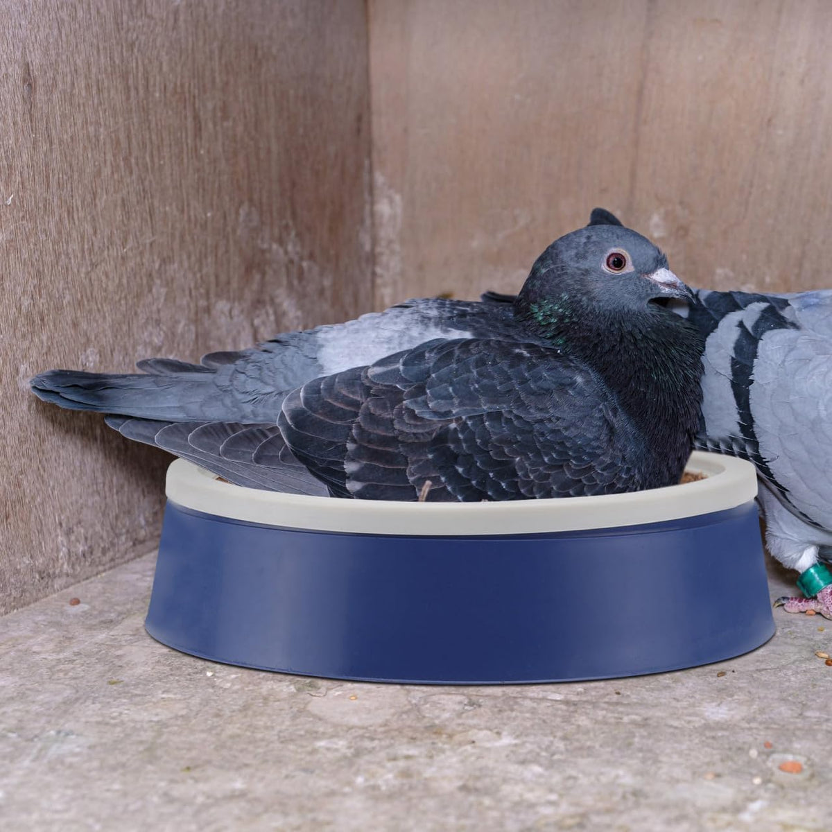 POPETPOP 4 Sets Pigeon Nest Bowl, Plastic Nesting Pot with Mats for Dove