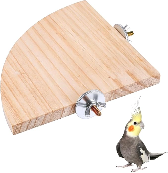 Bird Perch Platform Stand Wooden Parrot Perch Corner 5.9 Inches Fan Shape by Unknown