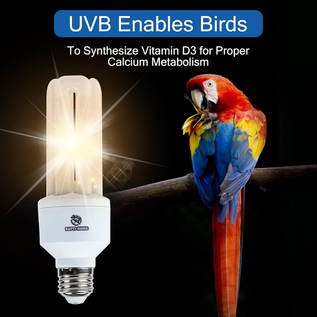UVA UVB Light Bulb for Birds 2.4 UVB 20W Compact Flourescent Lamp for All Kinds Captive Birds