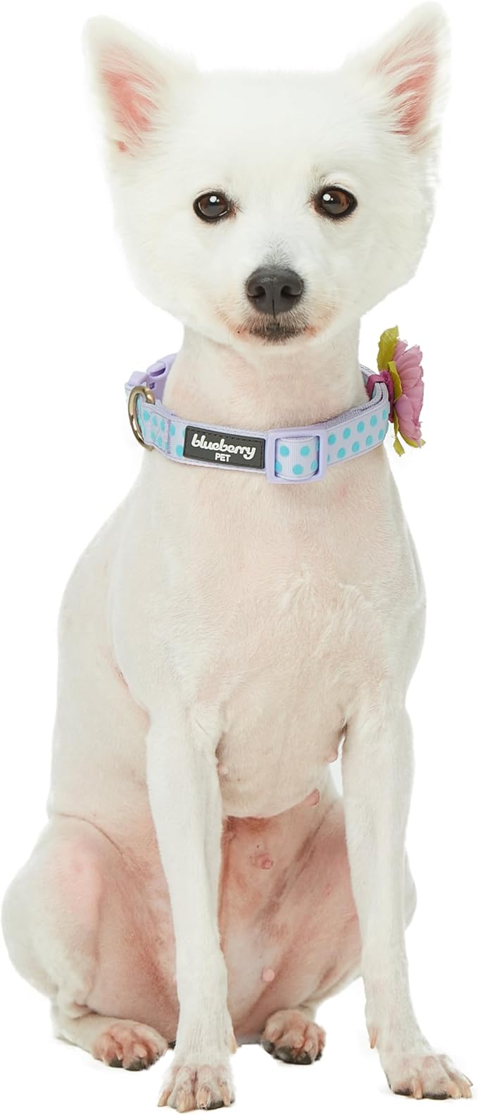 Blueberry Pet Adjustable Flocking Dog Collar - Image 7