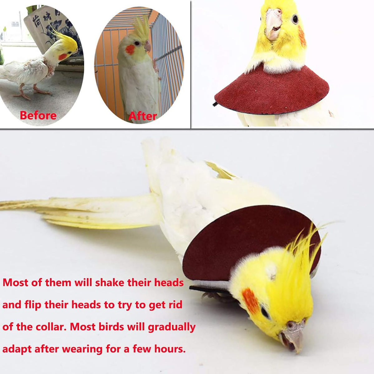 QBLEEV 4Pack Parrot Anti-bite E-Collars, Anti-Grab Feather Plucking Collars