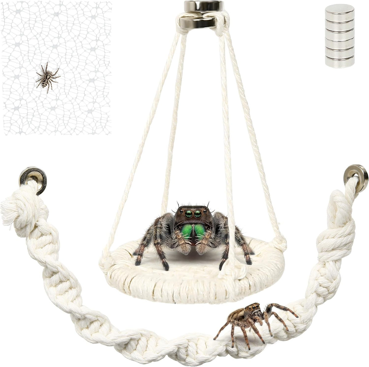 Jumping Spider Accessories, 3 Pcs Jumping Spider Natural Cotton Rope Bridge, Swing & Climbing Net Handmade Magnetic Mounting, for Medium and Small Jumping Spider Terrarium Enclosures