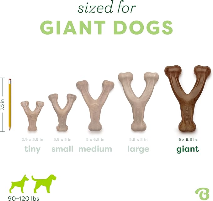 Benebone Wishbone Durable Dog Chew Toy - Image 4