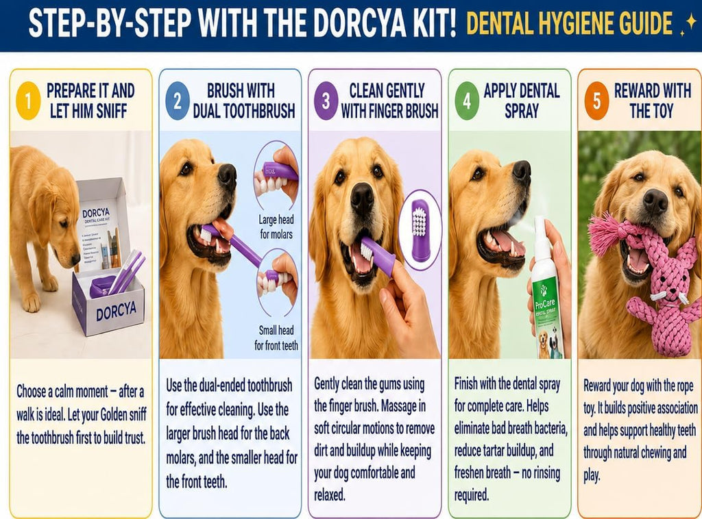DORCYA Golden Retriever Dental Care Kit for Large Breeds 10 Dog Toothbrushes 10 Dog Finger Brushes 1 Breath Freshener Spray 1 Bonus Toy