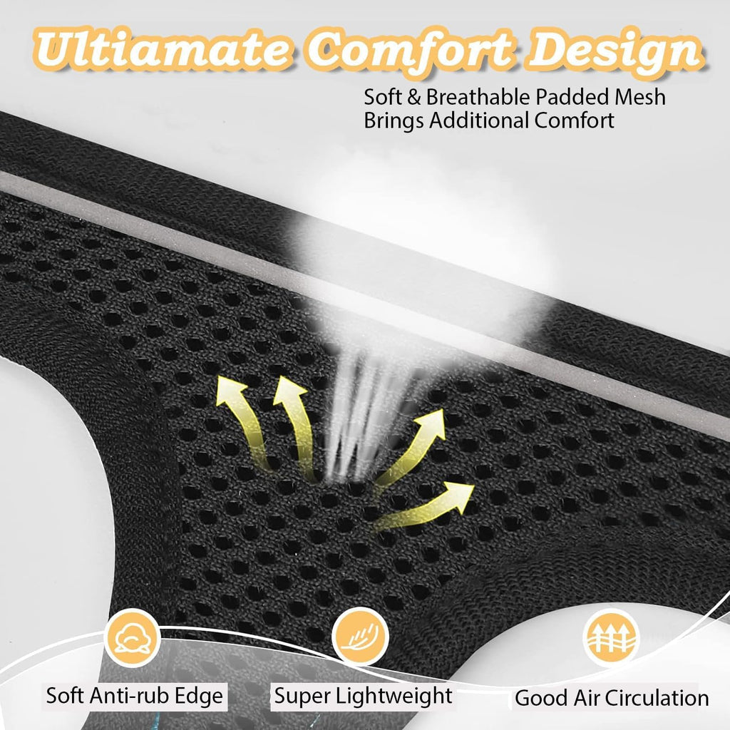 Cat Harness with Leash Set Mesh No Pull Reflective Escape Proof Walking Adjustable Step Soft Padded in Vest Harness for Small Medium Puppy, Cats Black M